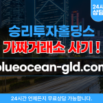 승리투자홀딩스 사기, 블루오션 인베스트먼트 불법 리딩방, 투자사기 사이트주소 – blueocean-gld.com