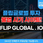 플립글로벌 투자 사기, 불법 코인거래 사이트 주소 – flipglobal.io