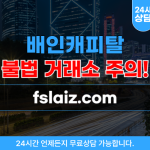 배인캐피탈 투자사기 웹사이트 fslaiz.com