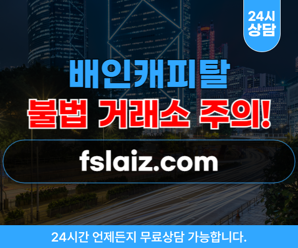 배인캐피탈 투자사기 웹사이트 fslaiz.com